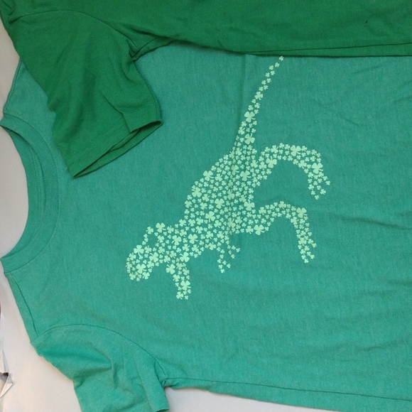 Kids Irish 🇮🇪 pride T-shirts 👕 size small - Picture 3 of 3